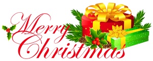 Merry Christmas & Happy Hanukkah from all staff at NaturalNooks.com !